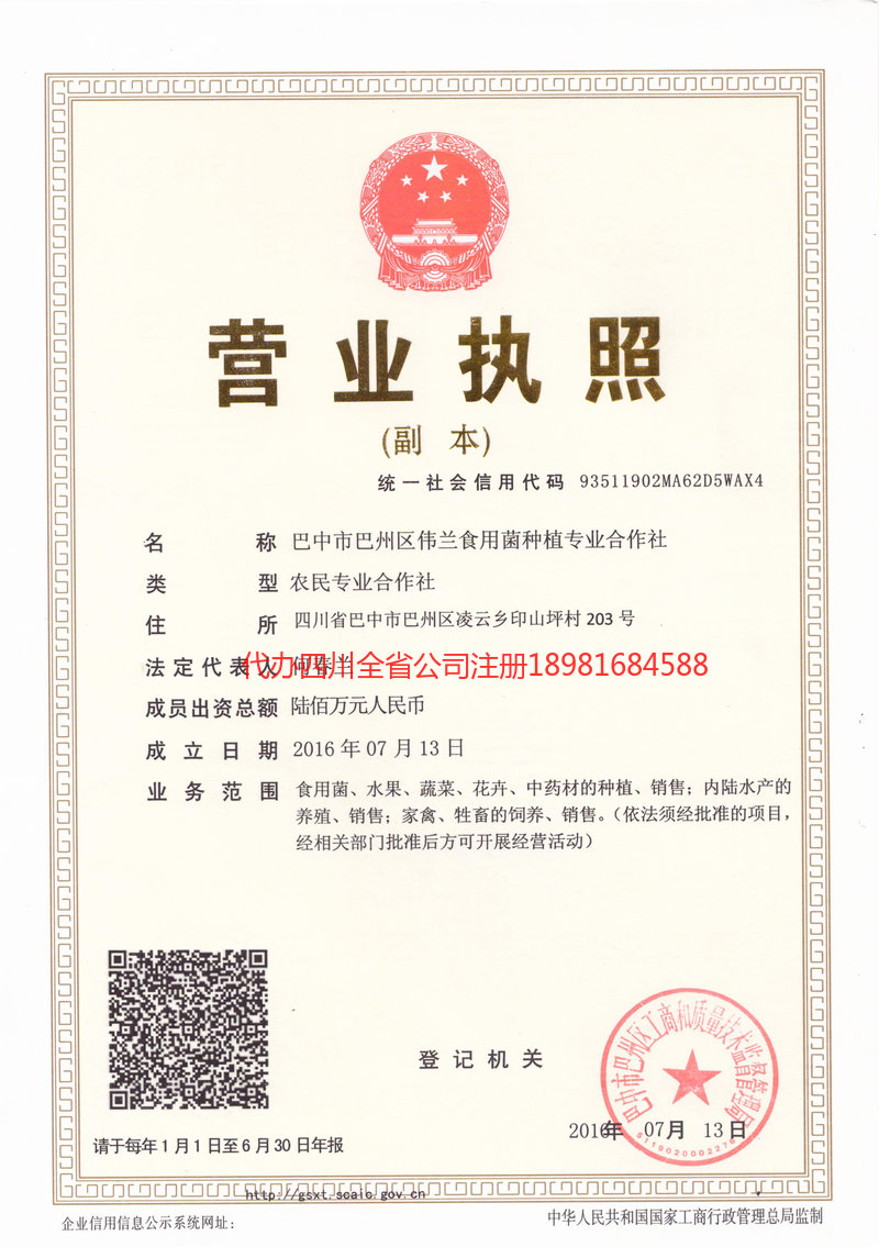 攀枝花攀枝花伟兰食用菌种植专业合作社